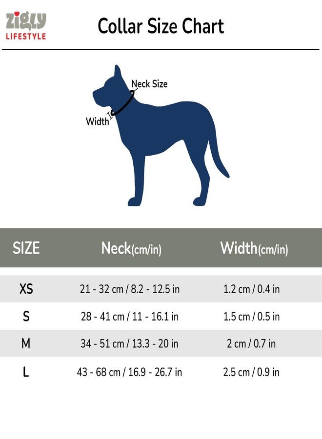 Zigly Lifestyle Classic Dog Collar & Leash Set-S-Black | Adjustable Padded Collar Leash Combo for Puppies & Small Dogs | Durable, Comfortable Pet Walking Set - Image 5